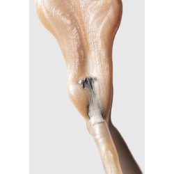 Gitti - Neglelak 307 - Tiny Dancer Cream, 15 ml