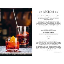 New Mags - Bog - The Curious Bartenders Guide to Gin