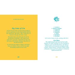 New Mags - Bog - The Little Book of Gin