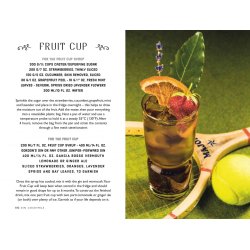 New Mags - Bog - The Curious Bartenders Guide to Gin