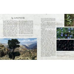 New Mags - Bog - The Curious Bartenders Gin Palace