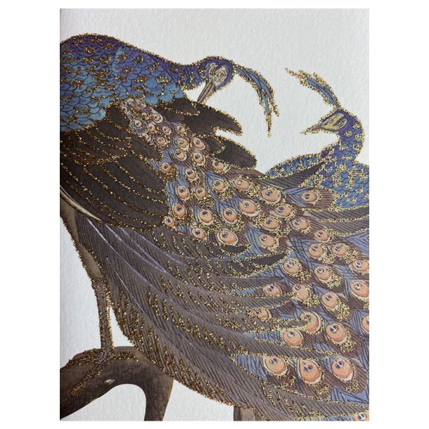 Vanilla Fly - Postkort - Peacock couple