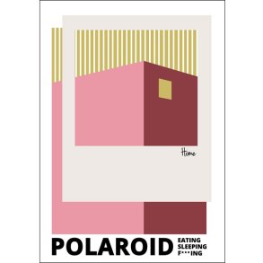 Permild og Rosengreen  - Indrammet Plakat - Polaroid Lyser�d OBS: SENDES IKKE