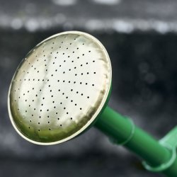 House Doctor - Vandkande 10 ltr. HDWan Grn - OBS: KUN I BUTIKKEN - SENDES IKKE