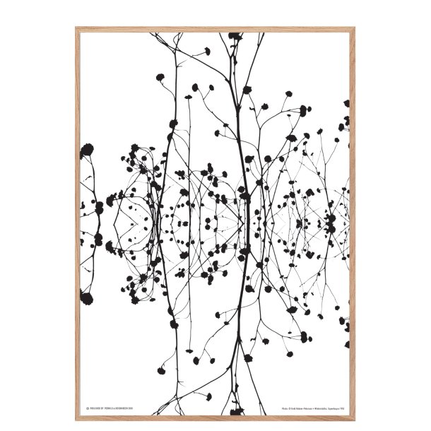 Permild og Rosengreen - Indrammet Plakat - Helmer-Petersen, Winterstalks 1942.  OBS: SENDES IKKE