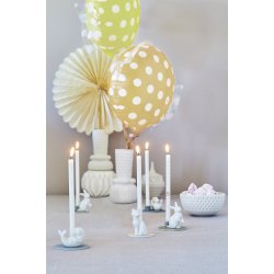 Dottir - Birthday Stories Hare - Sennep