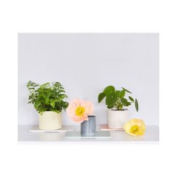 Dottir - Pipanella Drum Big -Yellow