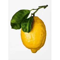 New Mags - Bog - The Gourmand�s Lemon