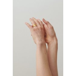 Pernille Corydon - Ring Saga - Forgyldt